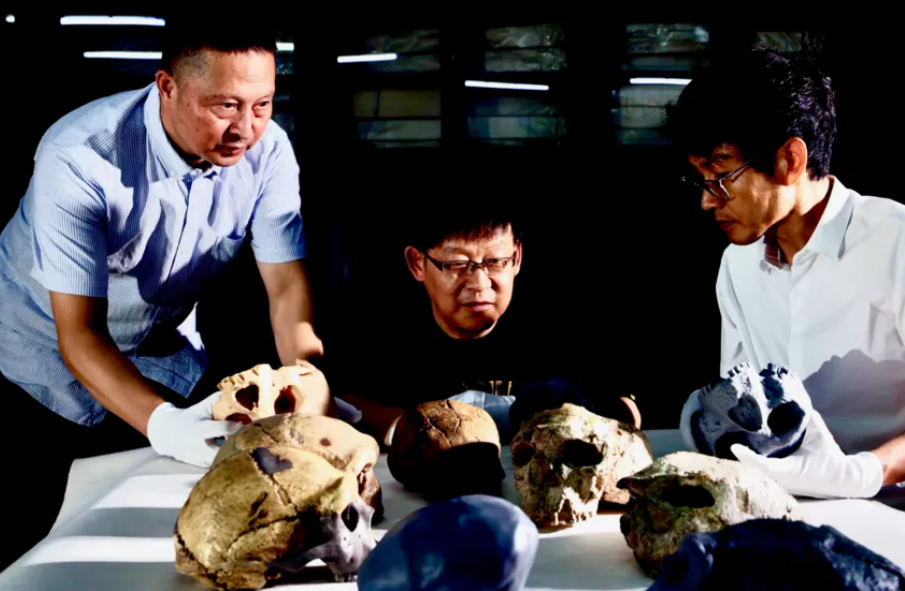 How Genetics is Rewriting Human Evolution
