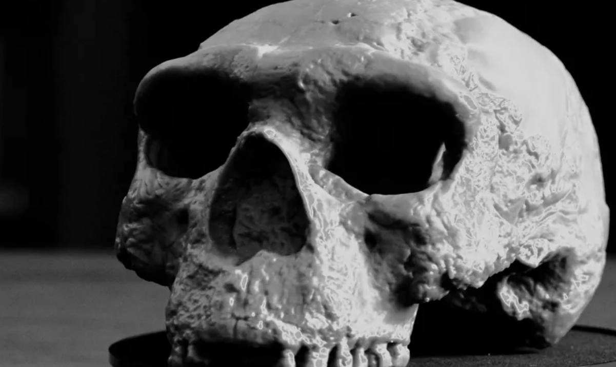 How Genetics is Rewriting Human Evolution