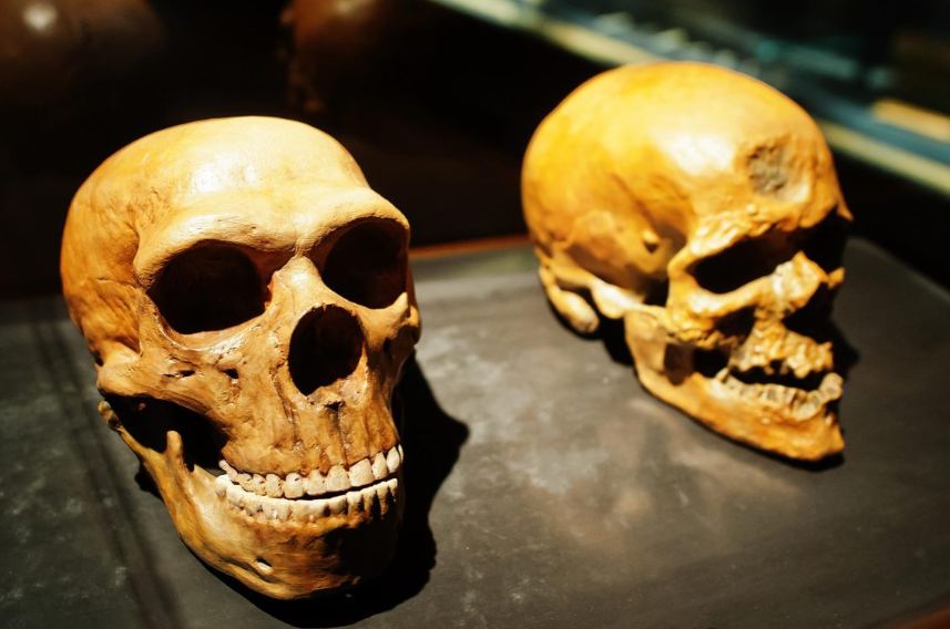 The Fascinating Link Between DNA and Human Origins