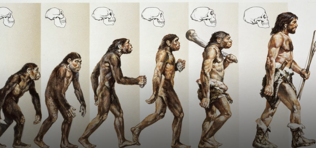The Fascinating Link Between DNA and Human Origins