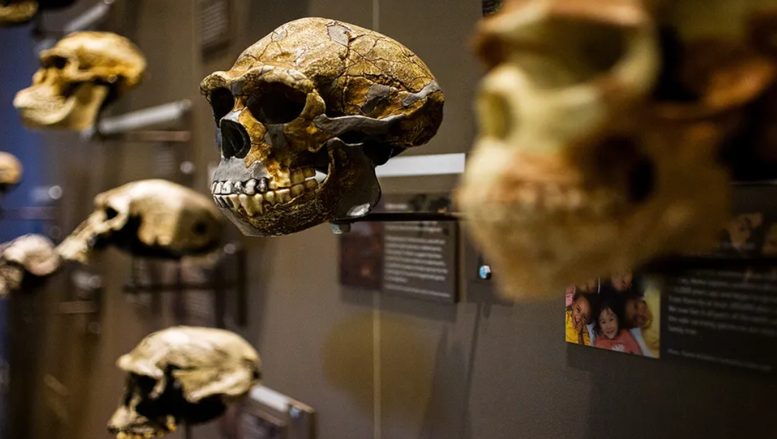 7 Scientific Studies That Redefine Evolution Theories